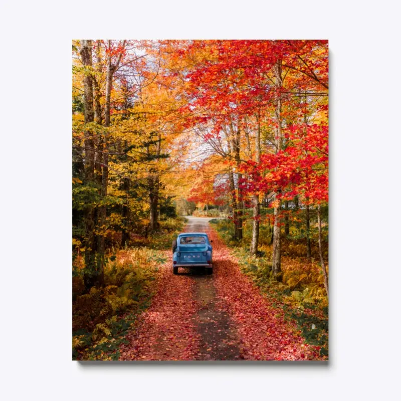 Red Road Canvas Print